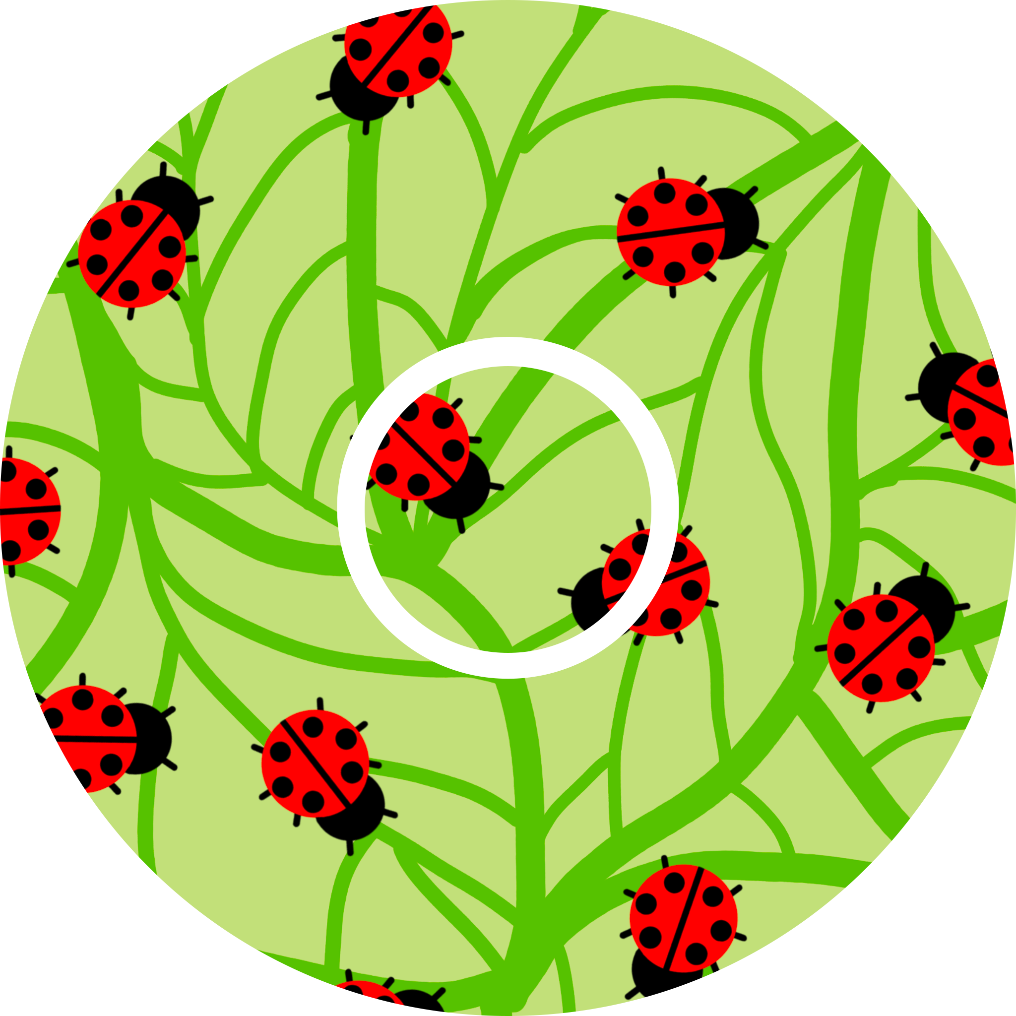 Beware.. The South London Ladybugs - Diabetes Overpatch